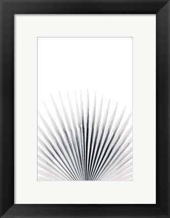 Framed Palm VI Print