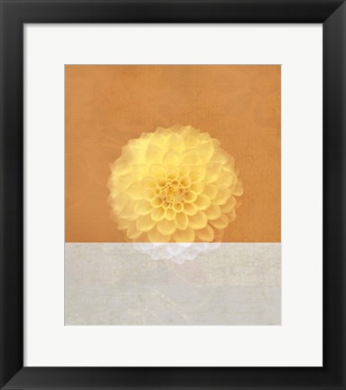 Framed Orange Flower Print