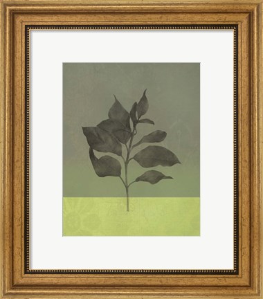 Framed Green Leaves Print
