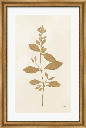 Framed Botanical Study VIII Gold Print