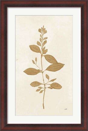 Framed Botanical Study VIII Gold Print