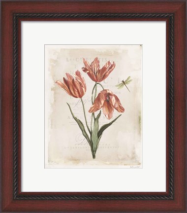 Framed Antiquarian Blooms III Print