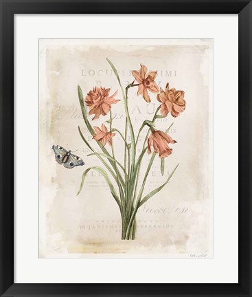Framed Antiquarian Blooms V Print