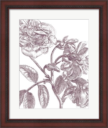 Framed Belle Fleur I Plum Crop Print