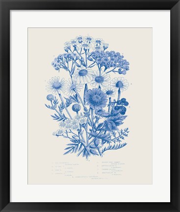 Framed Flowering Plants V Mid Blue Print