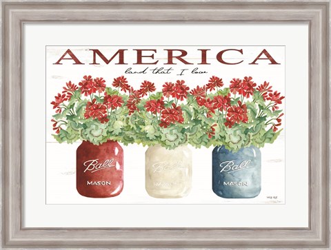 Framed America Glass Jars Print