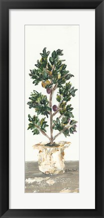 Framed Olive Tree Print