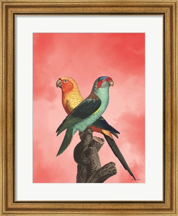Framed Birds and the Pink Sky II Print