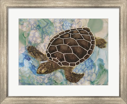 Framed Sea Turtle Collage 2 Print