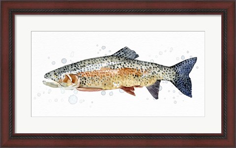 Framed Watercolor Rainbow Trout II Print