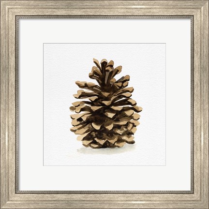 Framed Conifer Cone I Print