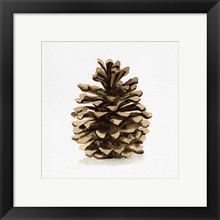 Framed Conifer Cone I Print