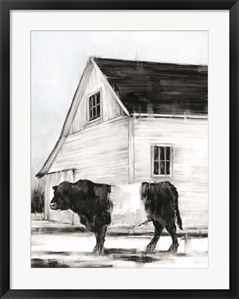 Framed Belted Galloway II Print