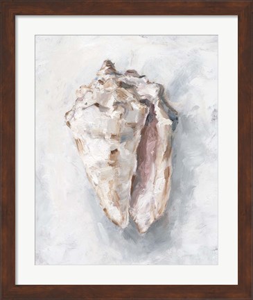 Framed White Shell Study II Print