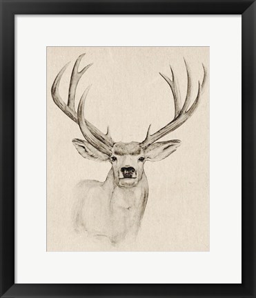 Framed Natural Buck I Print