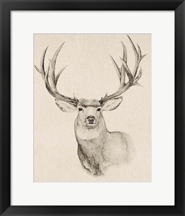 Framed Natural Buck II Print