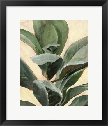 Framed Plant Study II Print
