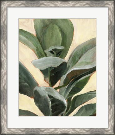 Framed Plant Study II Print