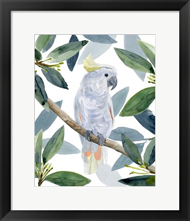 Framed Cockatoo Perch I Print