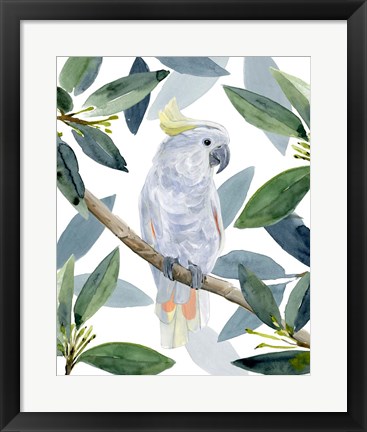 Framed Cockatoo Perch I Print