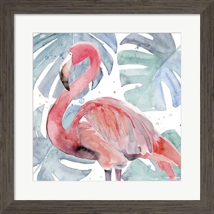 Framed Flamingo Splash II Print