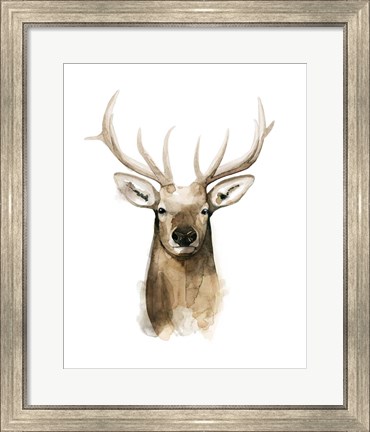 Framed Watercolor Elk Portrait I Print