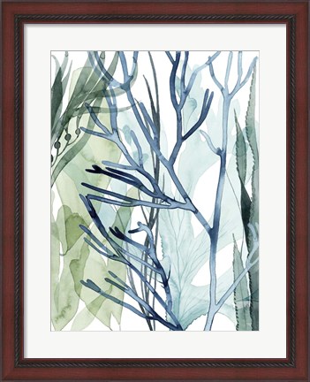 Framed Sea Leaves II Print