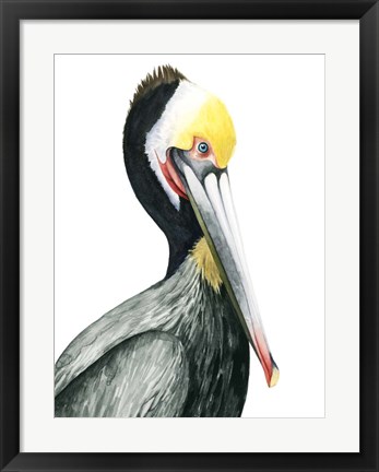 Framed Watercolor Pelican I Print