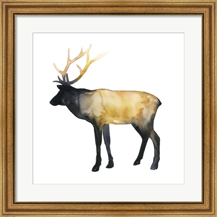 Framed Elk Aglow I Print
