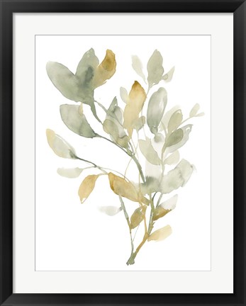 Framed Sage &amp; Sienna Leaves I Print