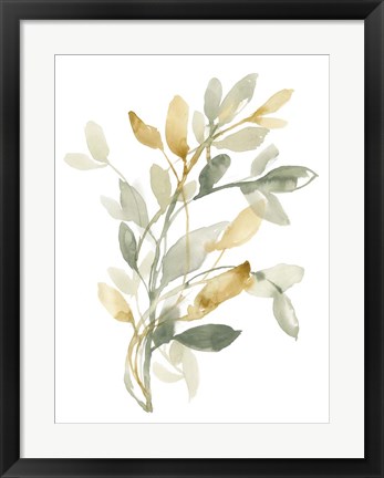 Framed Sage &amp; Sienna Leaves II Print