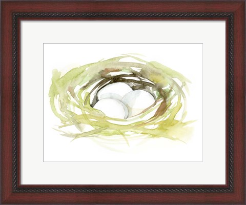 Framed Watercolor Nest II Print