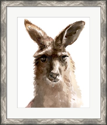 Framed Kangaroo Portrait II Print