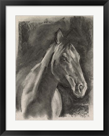 Framed Charcoal Horse Study on Grey I Print