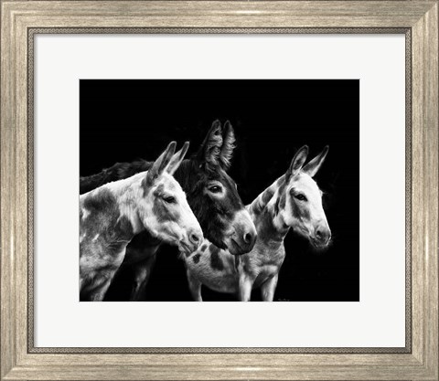 Framed Donkey Portrait II Print