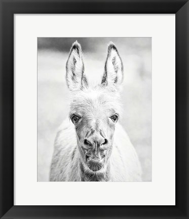 Framed Donkey Portrait IV Print