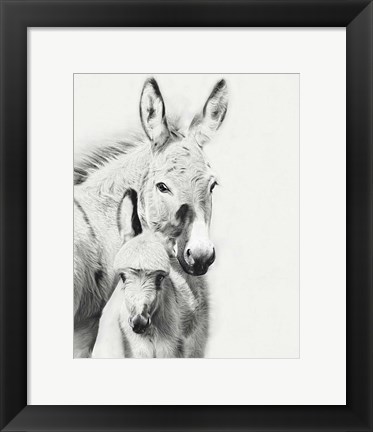 Framed Donkey Portrait V Print
