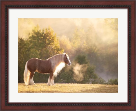 Framed Golden Lit Horse I Print