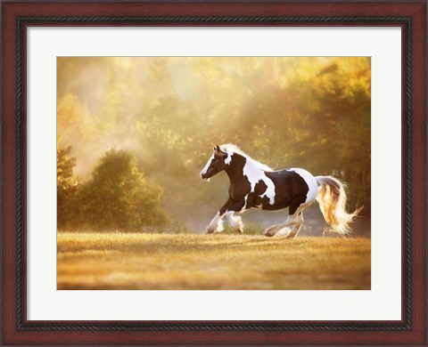 Framed Golden Lit Horse II Print