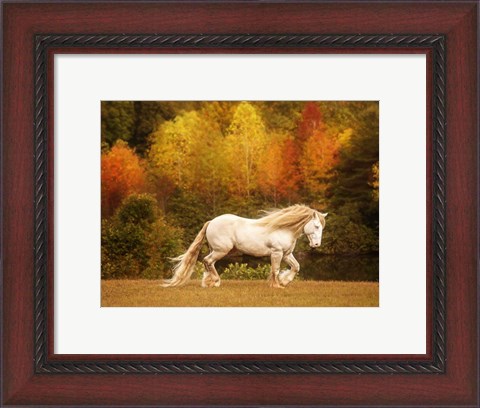 Framed Golden Lit Horse VI Print