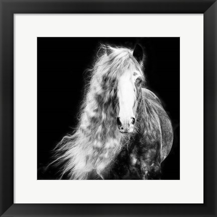 Framed Black and White Horse Portrait I Print