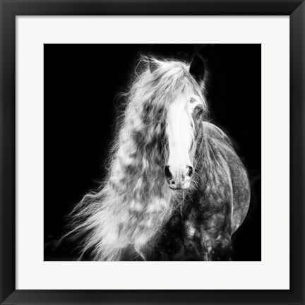 Framed Black and White Horse Portrait I Print