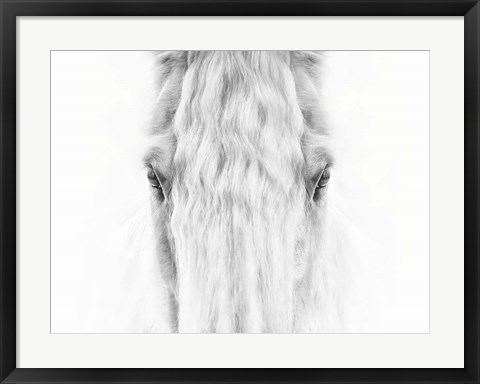 Framed Black and White Horse Portrait IV Print