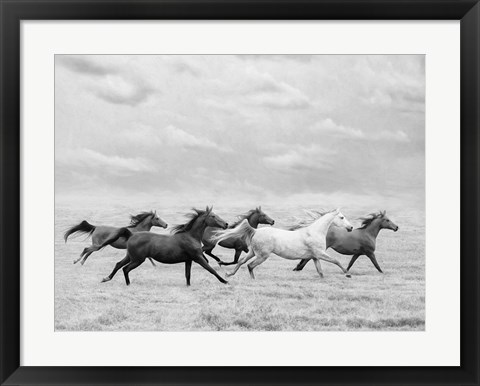 Framed Horse Run I Print