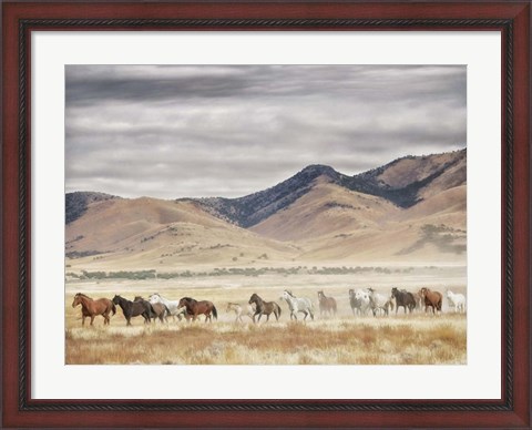 Framed Horse Run II Print