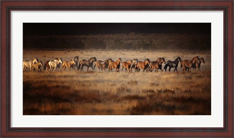 Framed Horse Run VII Print