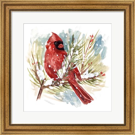 Framed Cardinal I Print