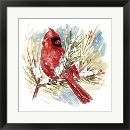 Framed Cardinal I Print