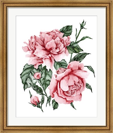 Framed Roses are Red II Print