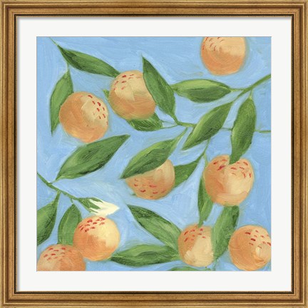 Framed Sweet Tangerine II Print